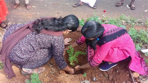 Tree Care Programme - RARS Pattambi - Inagurated by Dr. R Ilangovan on ...