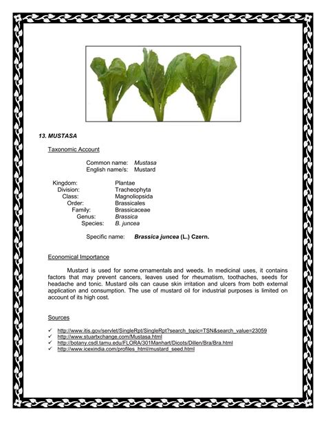 Taxonomy of "Bahay Kubo" plants | DOCX
