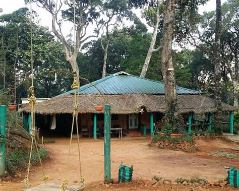 ELA BLOOMS (Meppadi) - Campground Reviews & Photos - Tripadvisor