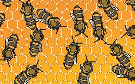 Bee Facts For Kids - 9 Amazing Facts About Bees - Twinkl