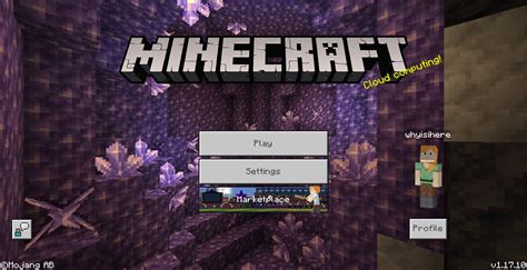 Image result for How to See Level.dat File in Minecraft