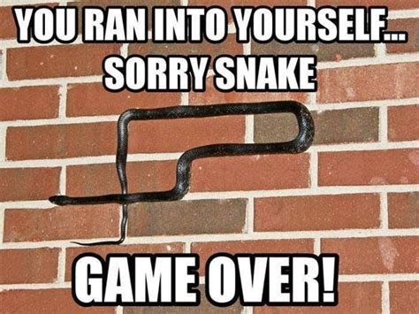 Image result for Getting Over It Snake