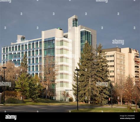 University of Calgary campus Stock Photo - Alamy