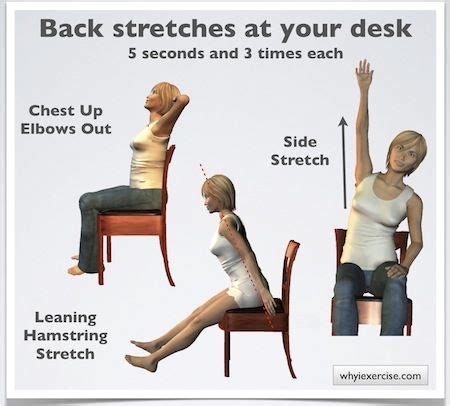 Image result for Bad Back Stretching Exercises