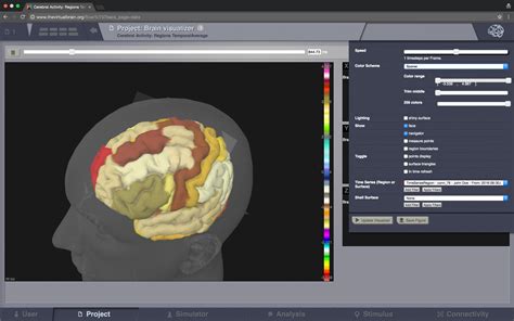 Image result for Virtual Brain Surgery Simulator