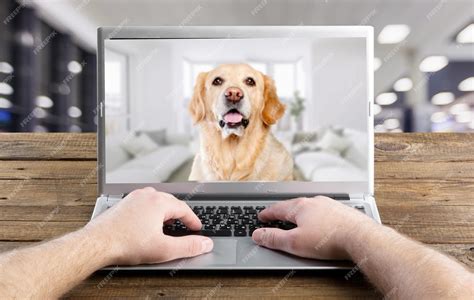 Premium Photo | A dog on a screen of a laptop computer on the office desk