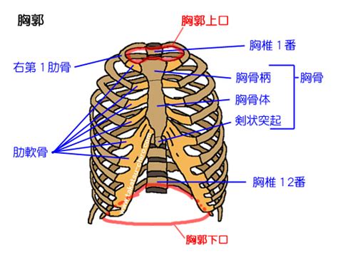 Image result for Structures of Pattern