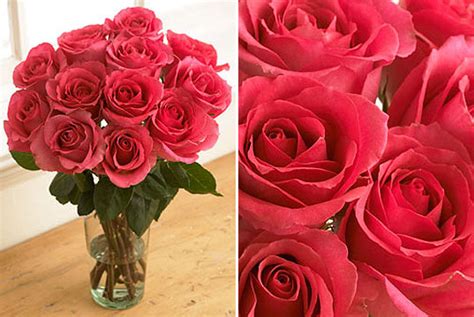 Image result for red roses