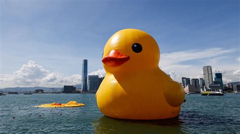 Traveling Giant Rubber Duck Deflated in Hong Kong's Victoria Harbor