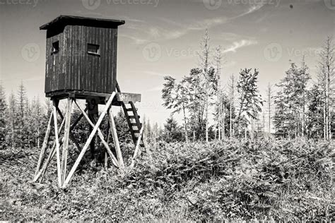 Sling Hunting Stand 的图像结果