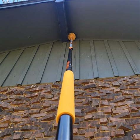 Spider Web Removal 的图像结果