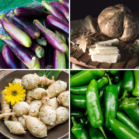 Things That Start With J In Nature at Elizabeth Burrows blog