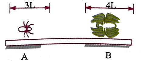 A uniform bar of length `12 L` and mass `48 m` is supported ...