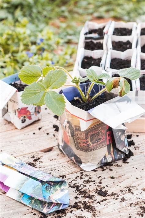 Crafts with Household Items 的图像结果