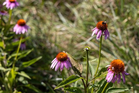 Summit County clerk of courts: Galonski vs. Reed - Signal Akron