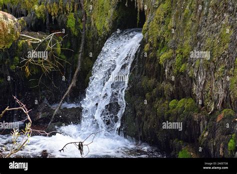 Image result for Fillongley Spring Water Source