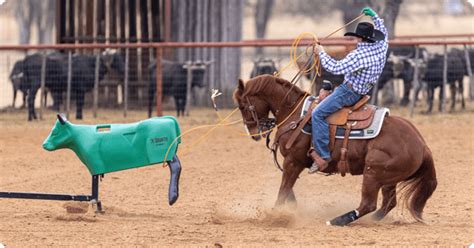 Image result for Team Roping Smarty