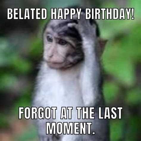 50+ Funny Happy Belated Birthday Memes for Everyone