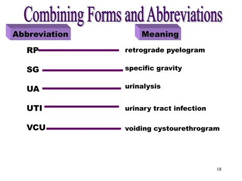 urinary system-combining form-20.04.23.ppt