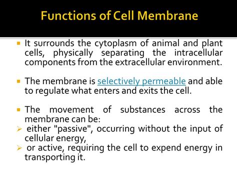 Image result for Cell Membrane Microscope Slides