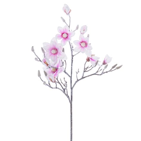 Kwiat Magnolia Snow | home-you.com