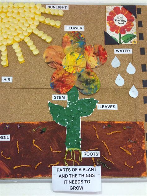 Parts of a plant. Based on the book: The Tiny Seed. | The tiny seed ...