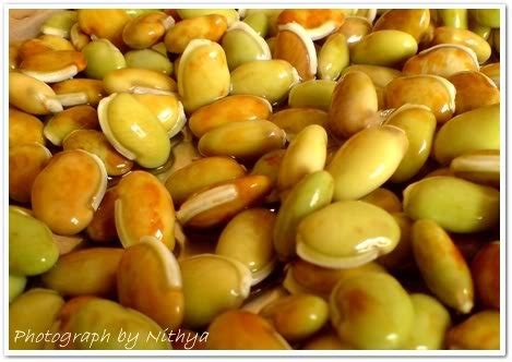 Pmw? - Grade A Quality - Anumulu - Dolichos Sinensis Seeds - 250 Grams ...