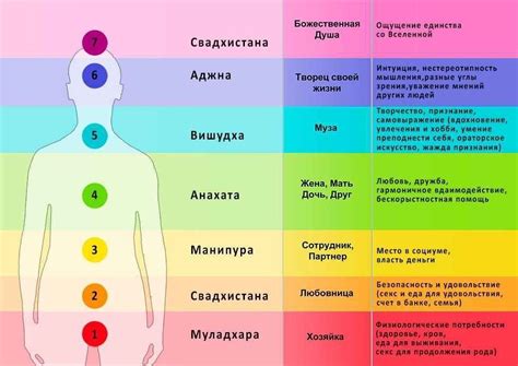 Пин на доске Чакры|Чакры человека значение