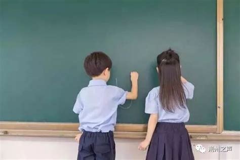 2019年荆州区城区中小学招生政策出炉！最新学区划分来了_子女