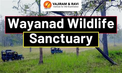 Wayanad Wildlife Sanctuary, Location, River, Flora & Fauna, Latest News
