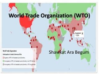 WTO Map 的图像结果