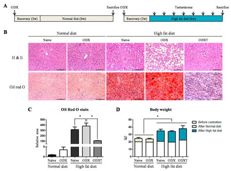 Hepatic LKB1 Reduces the Progression of Non-Alcoholic Fatty Liver ...