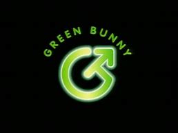 Image result for Bunny Ear Pattern