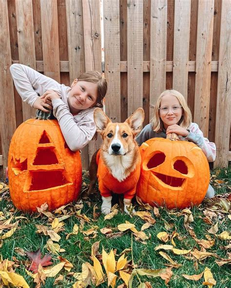 27 Cute Pumpkin Carving Ideas for Adorable Fall Decor