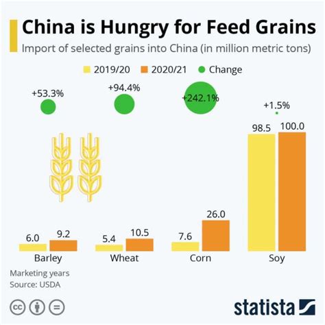 Как экспортировать продукты питания в Китай — Стратегическое руководство