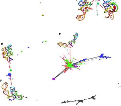 RNA Model 的图像结果