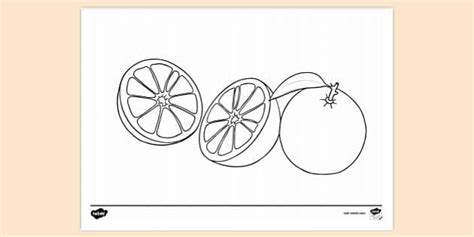 Orange Slice Colouring | Colouring Sheets (teacher made)