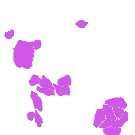 Annotated Quantitative Phase Microscopy Cell - Dataset Ninja
