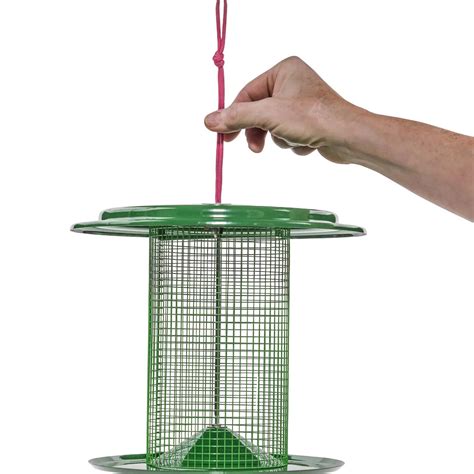 Bird Feeders>Plow & Hearth Large Metal Sunflower Seed Bird Feeder ...