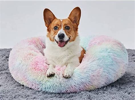 8 Best Washable Dog Beds | Orthopedic Dog Beds | Luxury Dog Sofa Bed ...