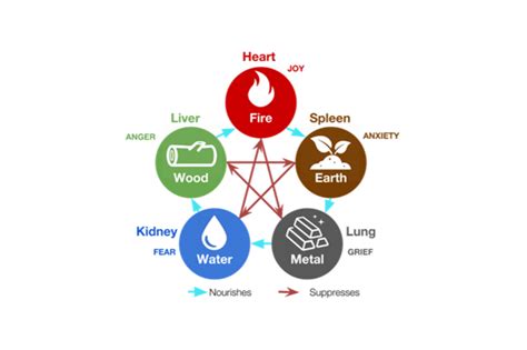 Five Element Explained 的图像结果