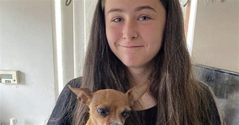 Beloved stolen dog returned to teenage owner more than a year later ...