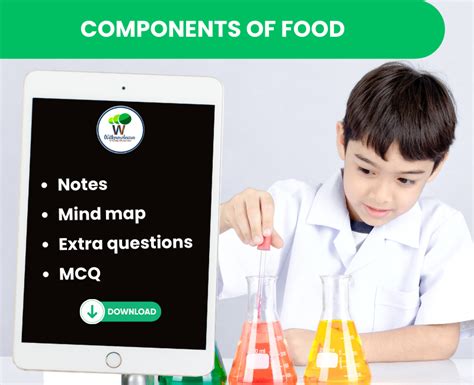 Image result for Components of Food Class 6 Question Answer