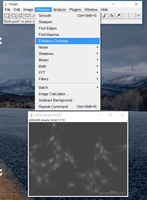 Microscope Image Processing 的图像结果