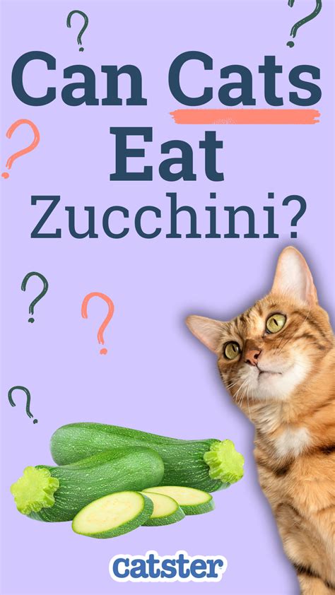 Best 13 Can Cats Eat Raw Fish? Vet Approved Nutritional Facts & FAQ – Artofit