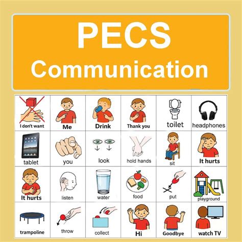 PECS Communication Examples 的图像结果