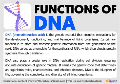 Image result for Normal DNA Function