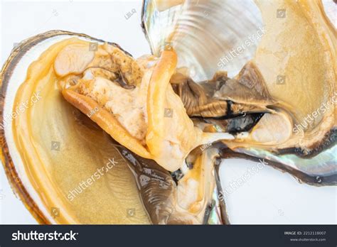 Image result for Is Mussel Is Bad When Is Open