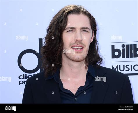 Hozier attends the Billboard Music Awards held at the MGM Grand Garden ...