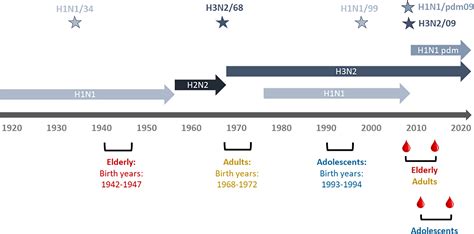 Frontiers | The evolution of humoral immune responses to past and novel influenza virus strains ...